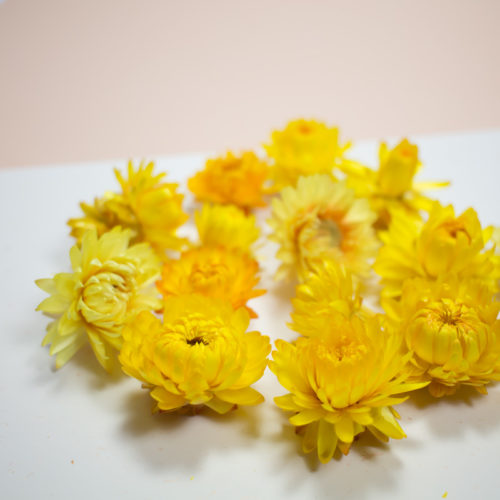 10 Fleurs séchées jaune