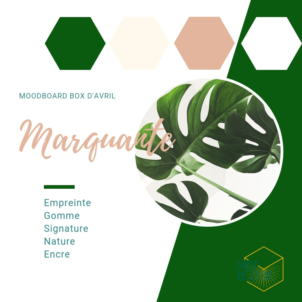 PAUSE MODERNE - BoX MARQUANTE