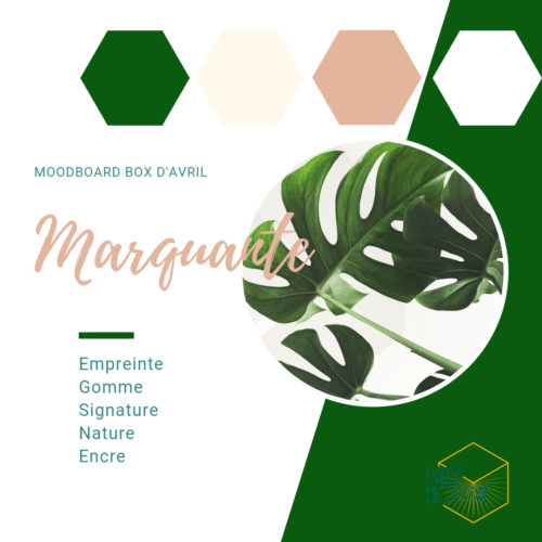 PAUSE MODERNE - BoX MARQUANTE