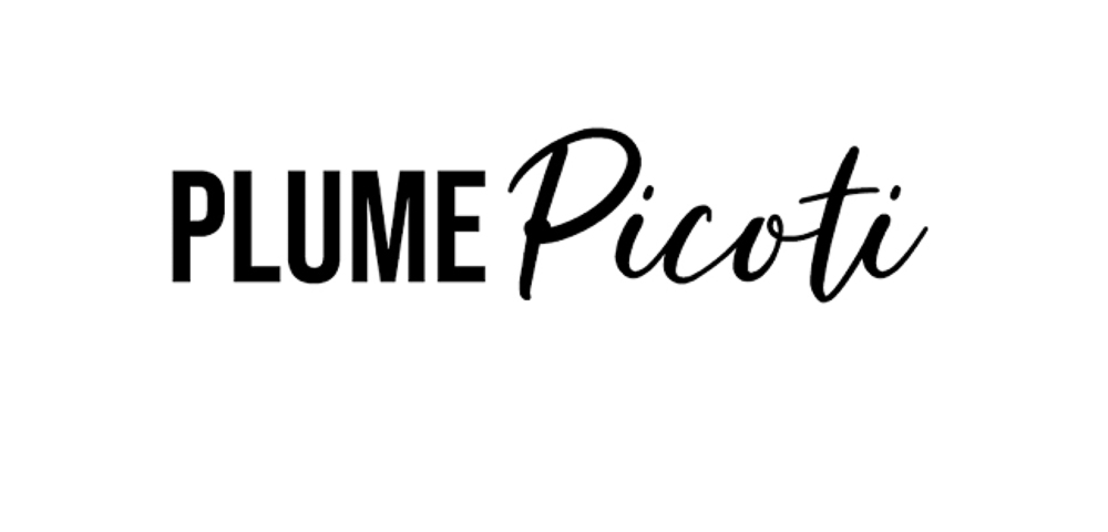 PAUSE MODERNE - article presse blog plume et picoti_