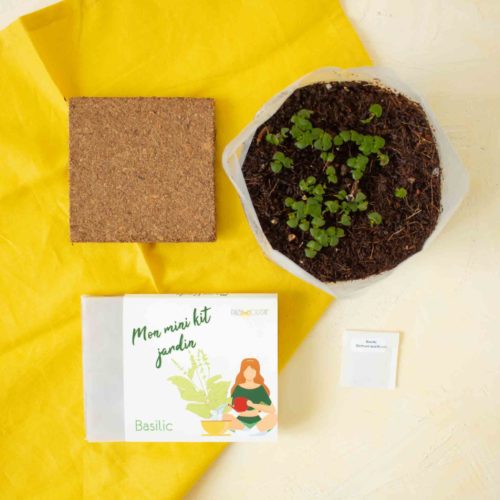 PAUSE MODERNE - Mon mini kit jardin basilic (1 sur 1)