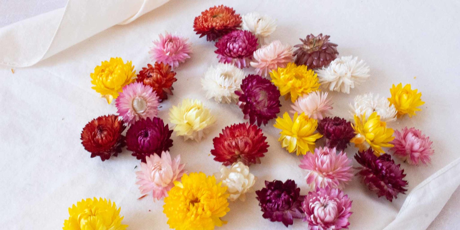 DIY : Que faire avec des fleurs séchées ? - Pause Moderne