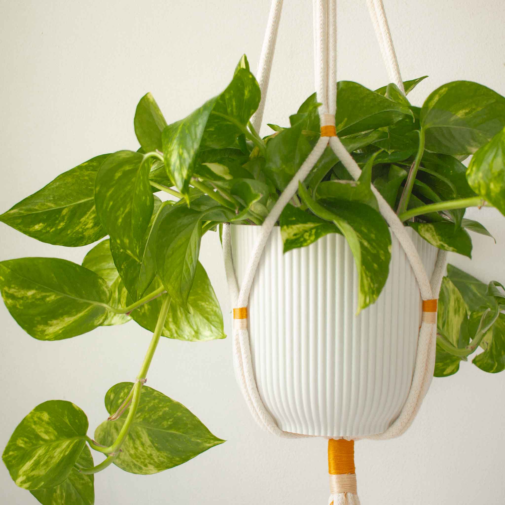 KIT DIY – Créer une suspension pour plante en corde