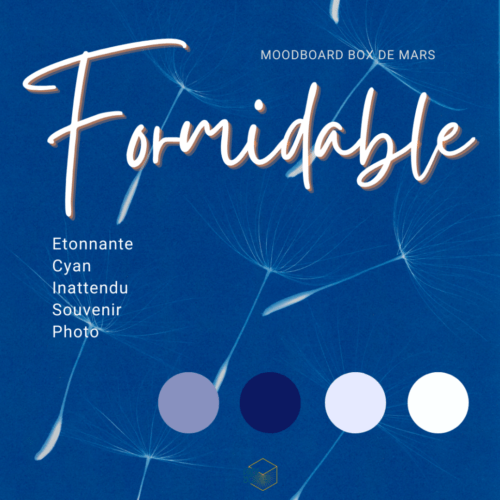 Box Formidable